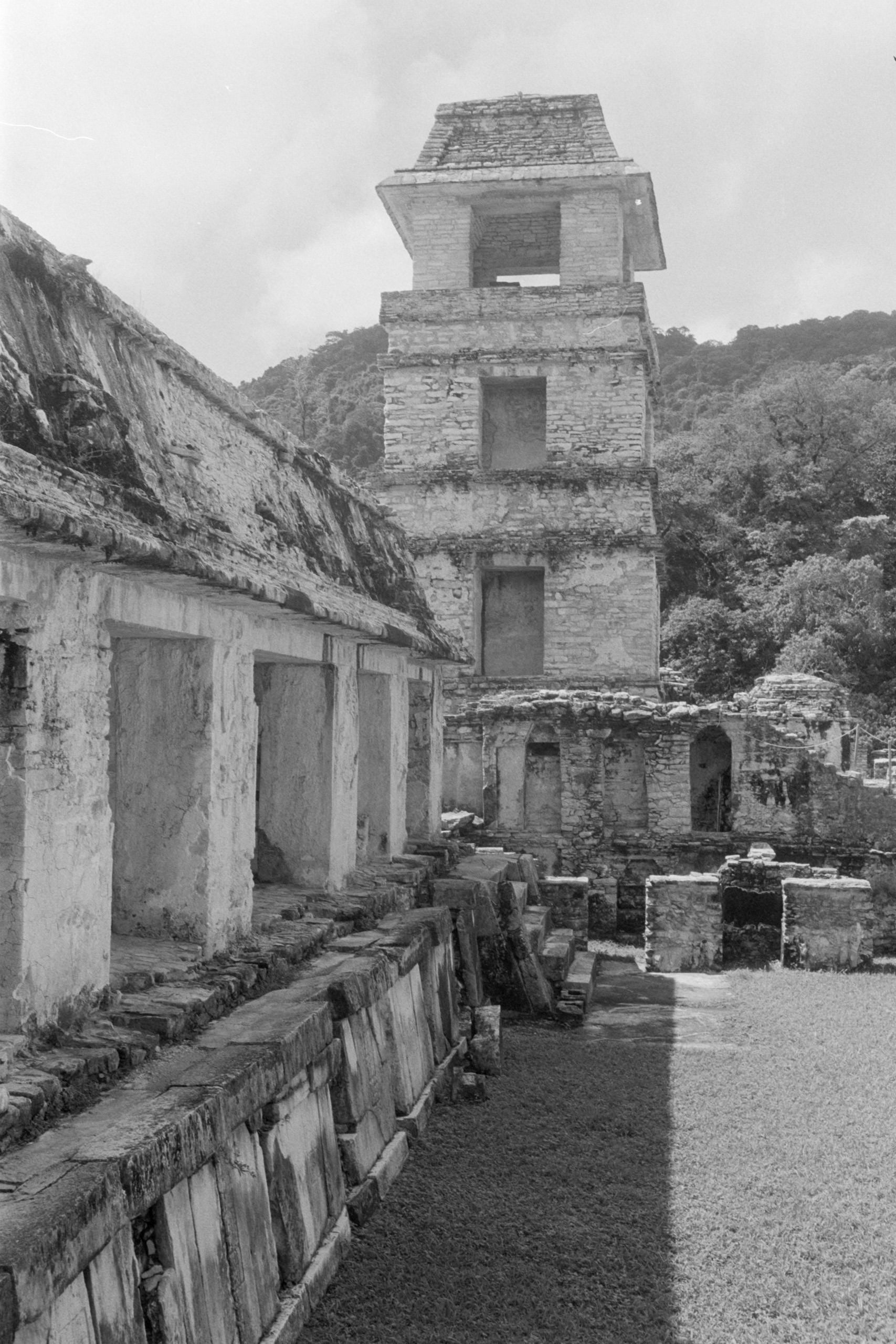 AHP FilmScan 240807 0648